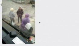 我们的乡村爆料视频,揭秘农村生活点滴